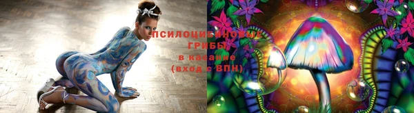 шишки Волоколамск