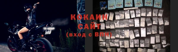 шишки Волоколамск