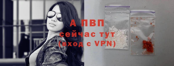 шишки Волоколамск