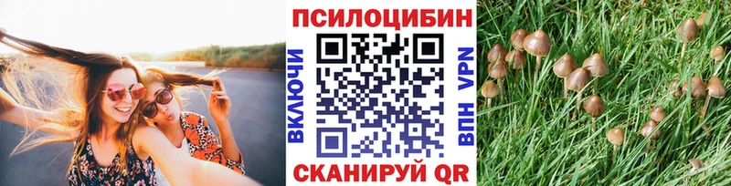 Псилоцибиновые грибы Psilocybe  где продают наркотики  Певек 